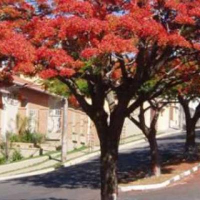 9124 870 320 1 Espiritosantodopinhal